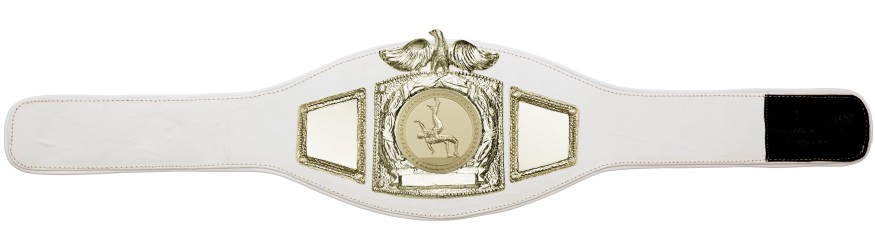 PROEAGLE WRESTLING CHAMPIONSHIP BELT - PROEAGLE/G/WRESTG - AVAILABLE IN 6+ COLOURS PROEAGLE WRESTLING CHAMPIONSHIP BELT - PROEAGLE/G/WRESTG - AVAILABLE IN 6+ COLOURS